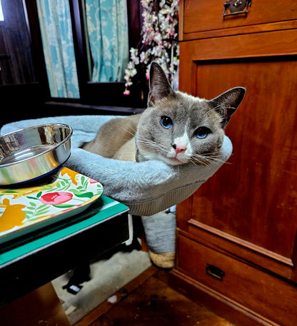 WhiskerWay™ Cat Desk Bed